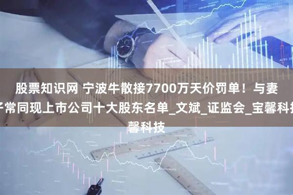 股票知识网 宁波牛散接7700万天价罚单！与妻子常同现上市公司十大股东名单_文斌_证监会_宝馨科技