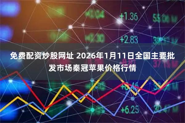 免费配资炒股网址 2026年1月11日全国主要批发市场秦冠苹果价格行情