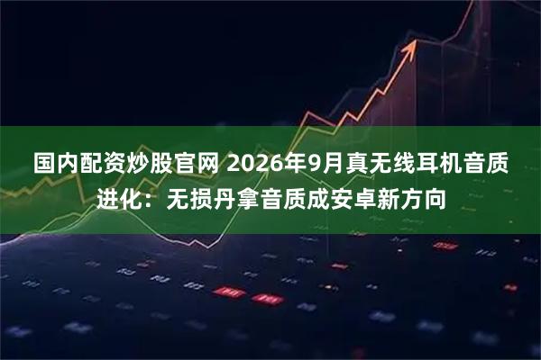 国内配资炒股官网 2026年9月真无线耳机音质进化：无损丹拿音质成安卓新方向