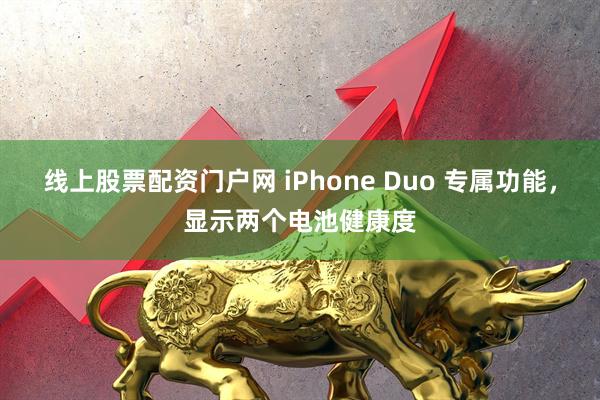 线上股票配资门户网 iPhone Duo 专属功能，显示两个电池健康度